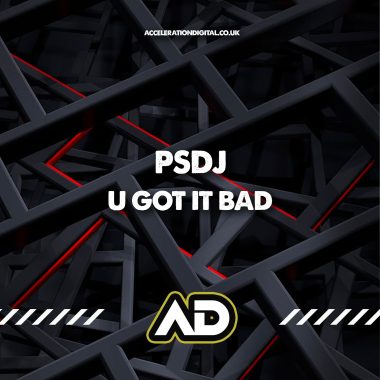 PSDJ - U Got It Bad