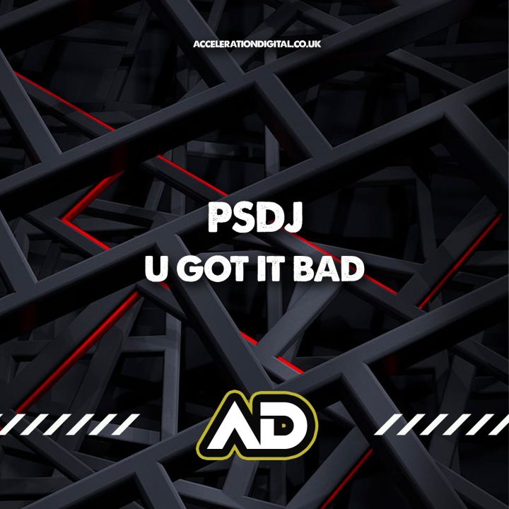 PSDJ - U Got It Bad